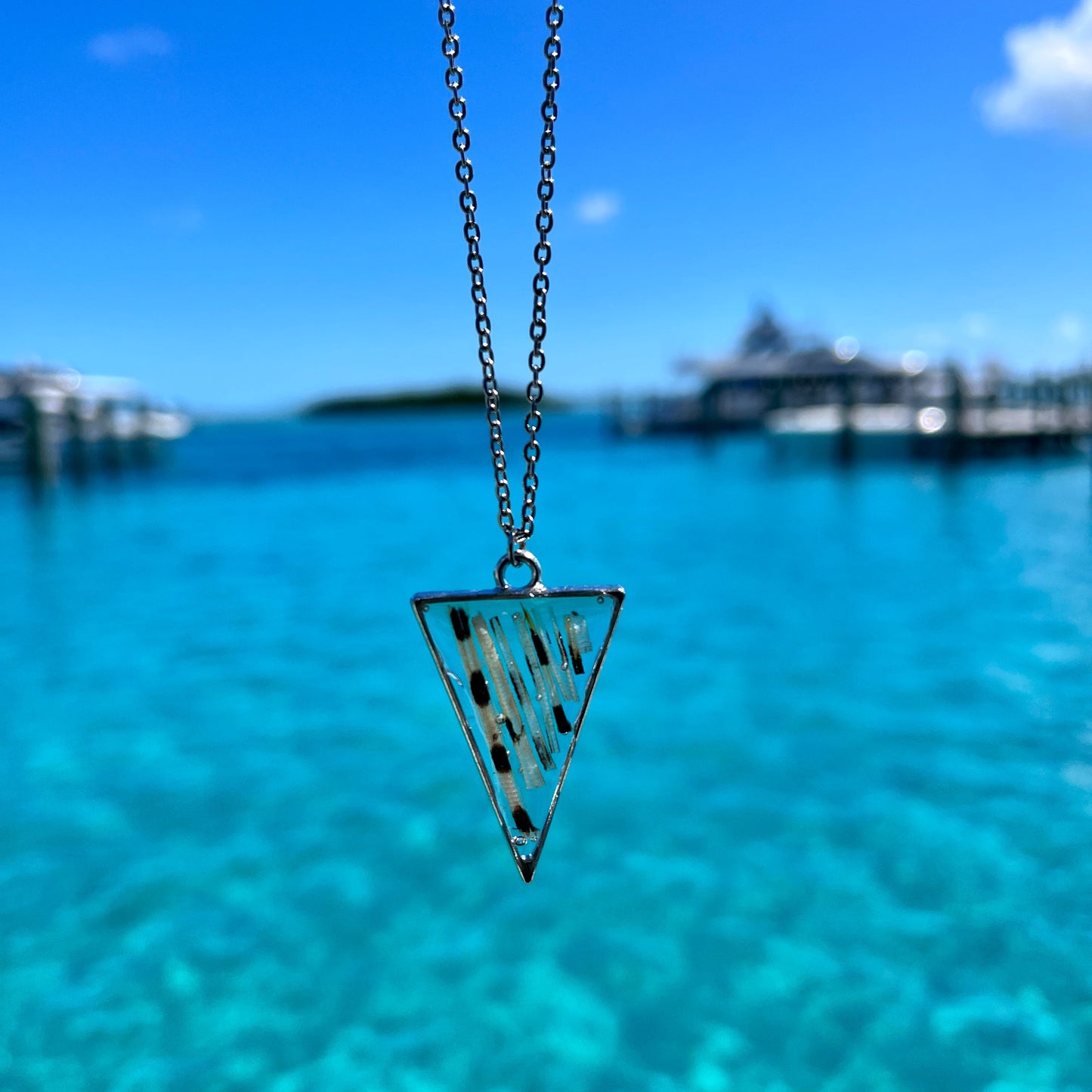 Lionfish Triangle Bezel Necklace