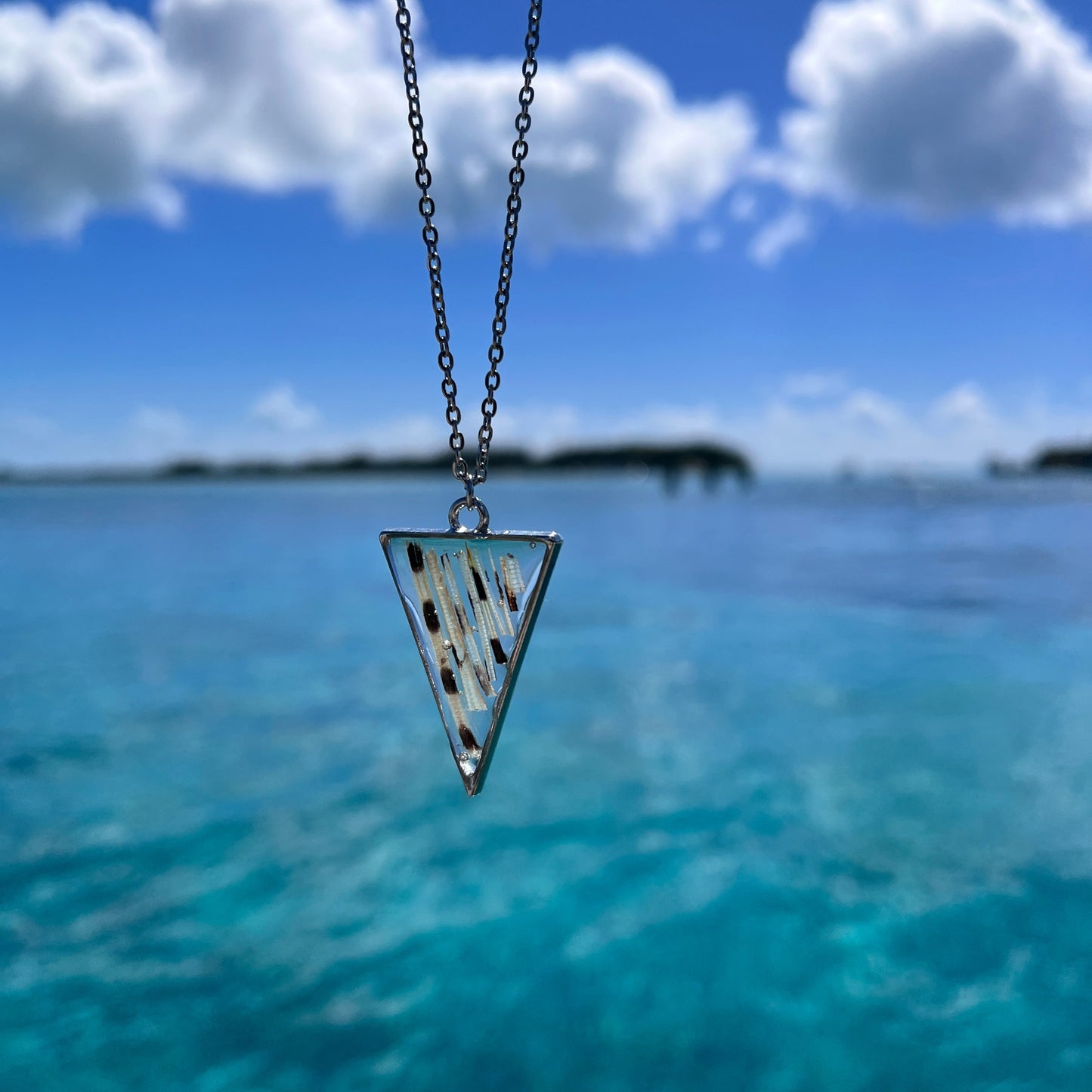 Lionfish Triangle Bezel Necklace