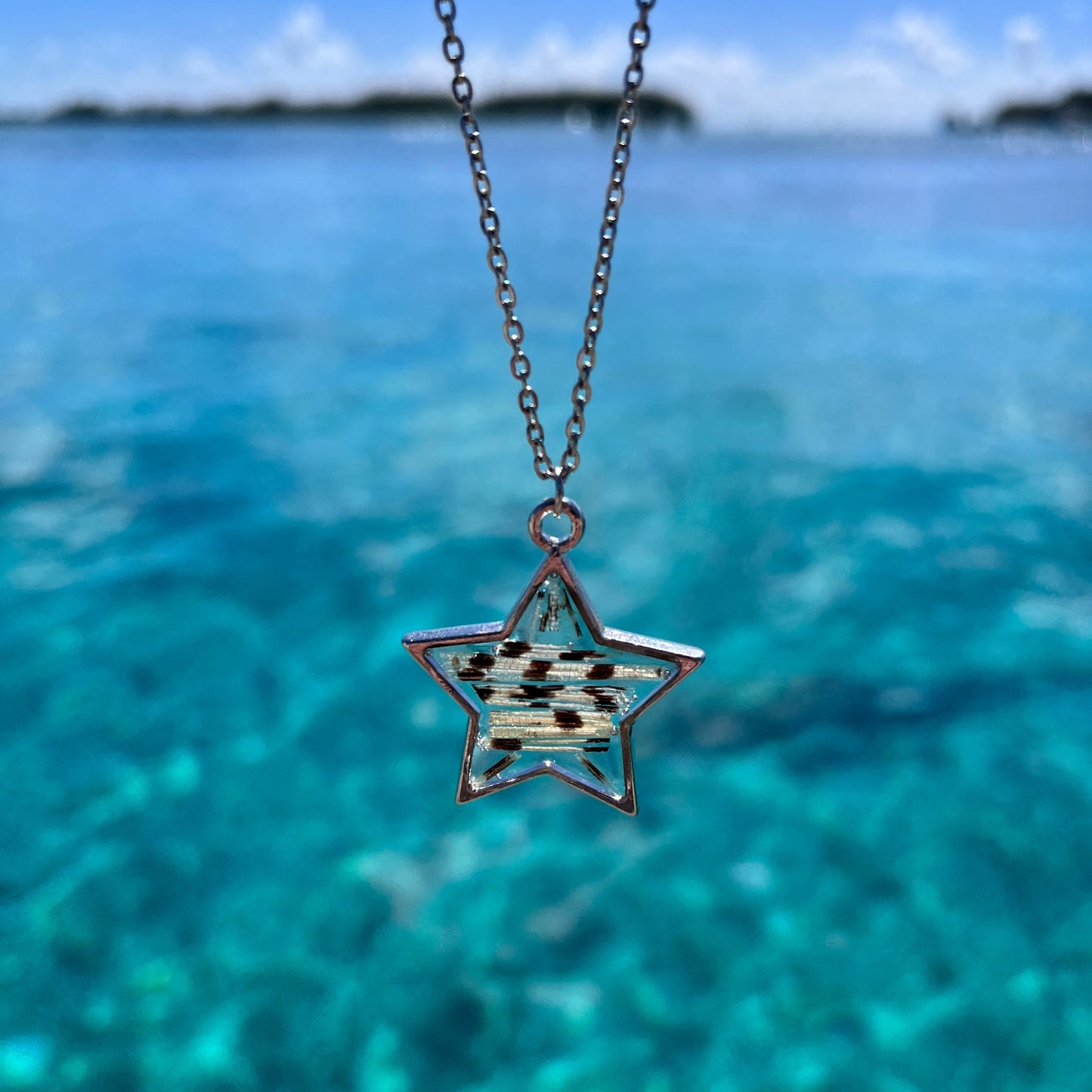 Lionfish Star Bezel Necklace