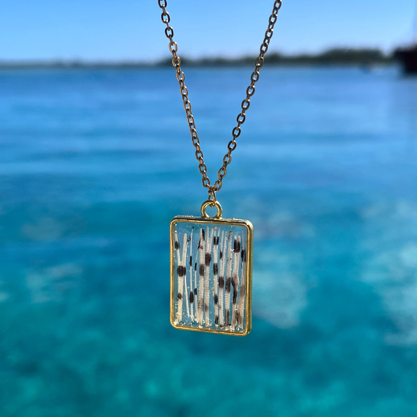 Lionfish Rectangle Bezel Necklace