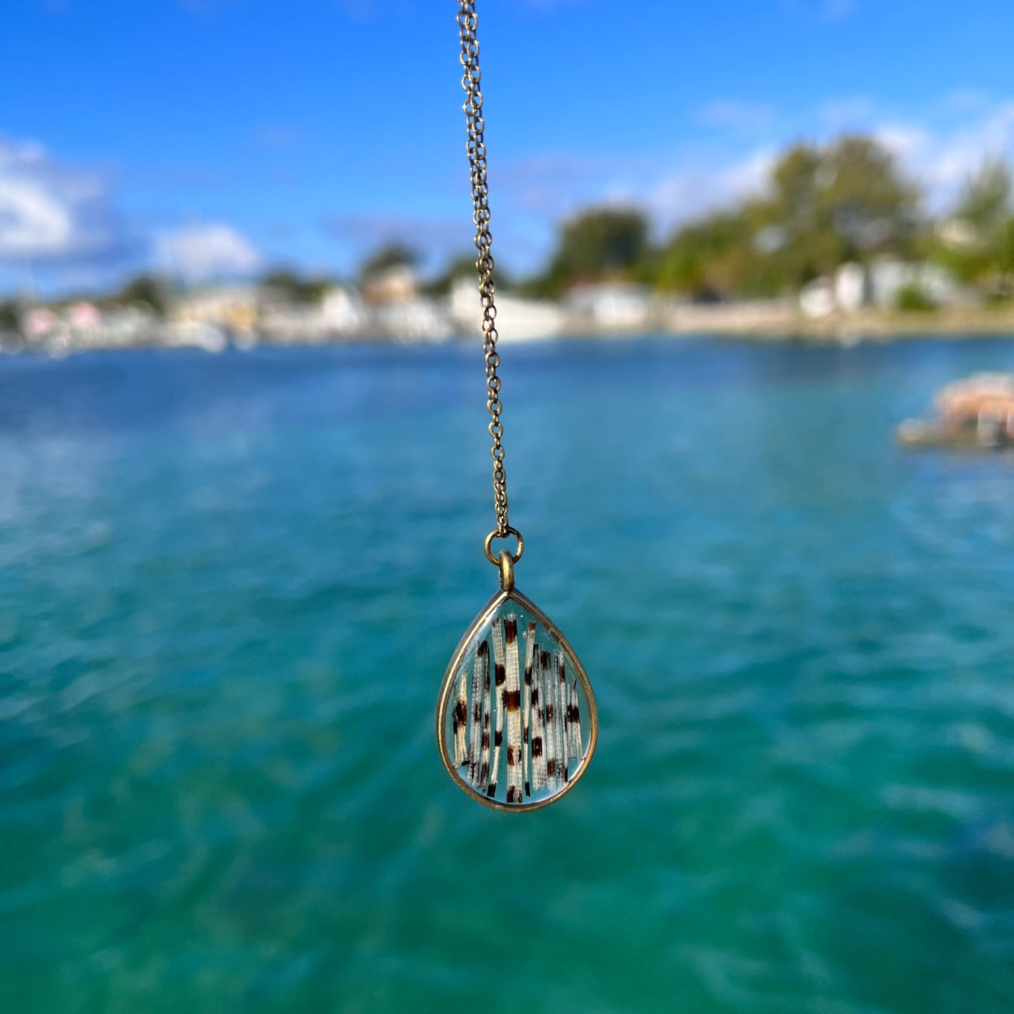 Lionfish Teardrop Bezel Necklace