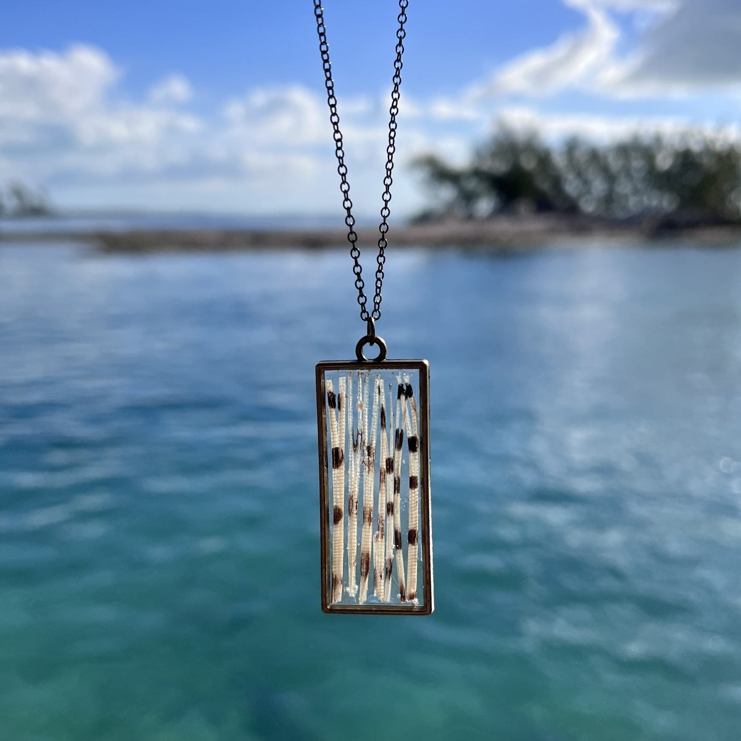 Lionfish Long Rectangle Bezel Necklace