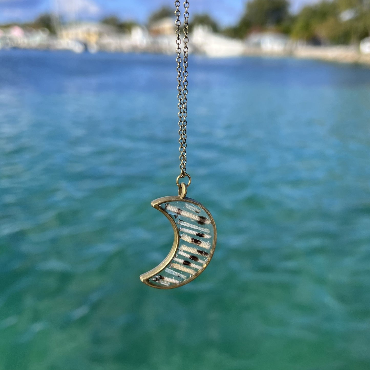 Lionfish Crescent Moon Bezel Necklace