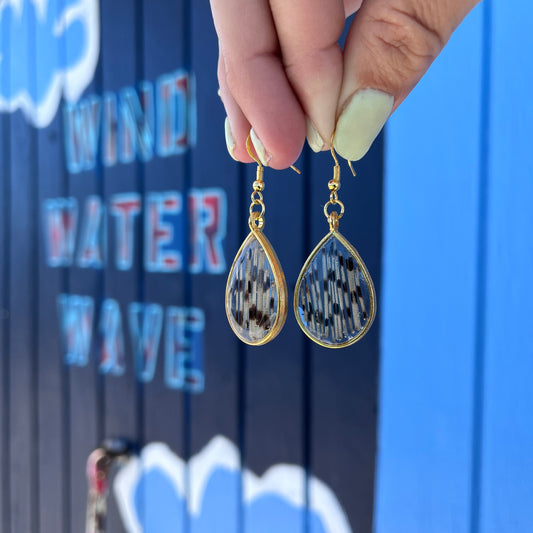 Lionfish Teardrop Bezel Earrings